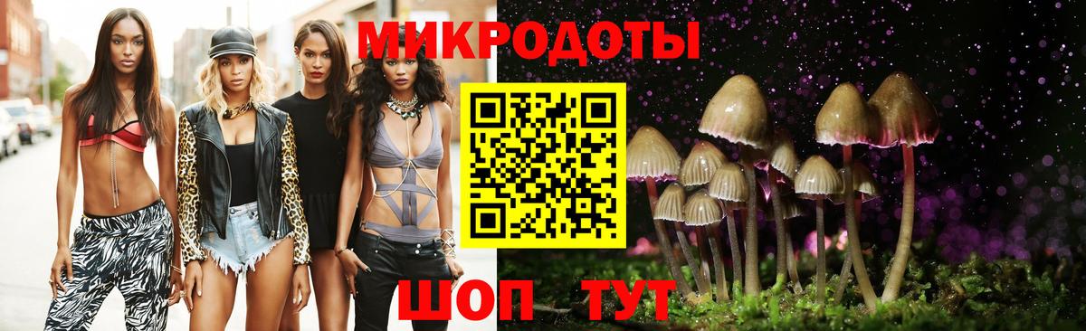 Галлюциногенные грибы Cubensis  Вход с VPN  Дивногорск 